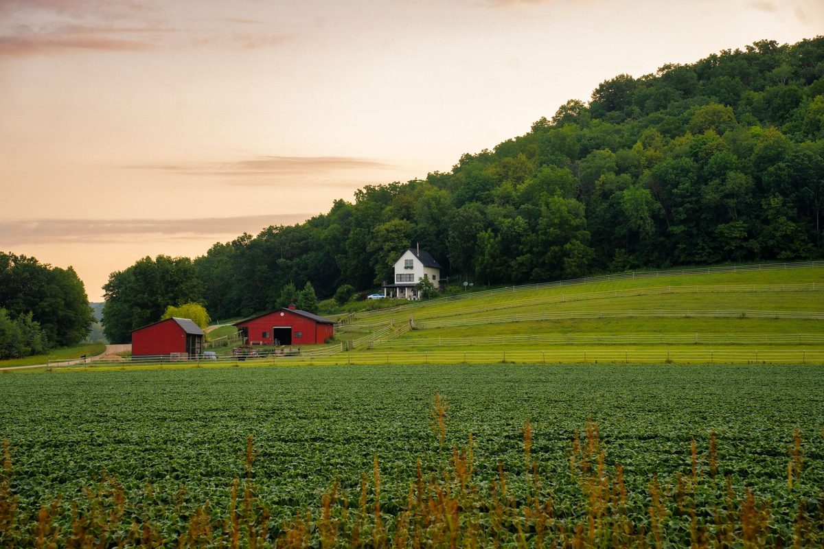 White farmhouse and red barns below a wooded ridge above a crop field