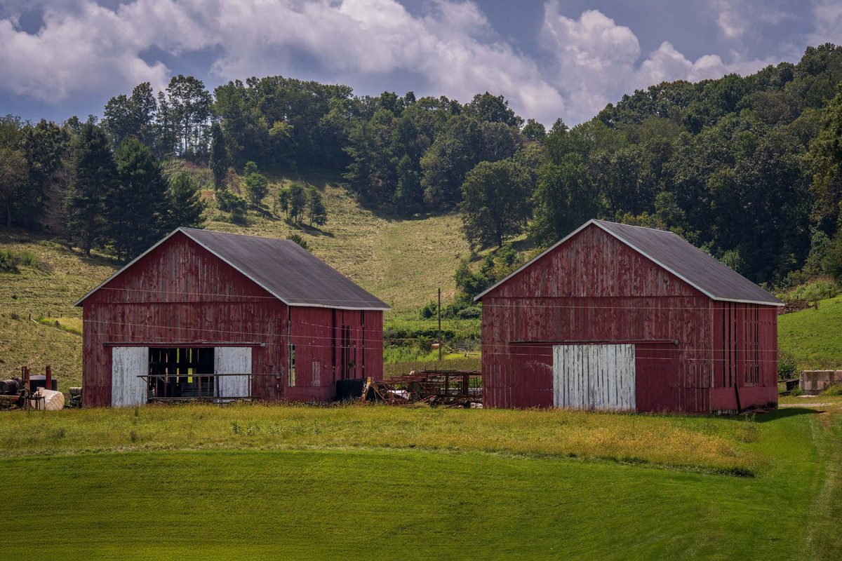 Two weathered red barns below a wooded hillside