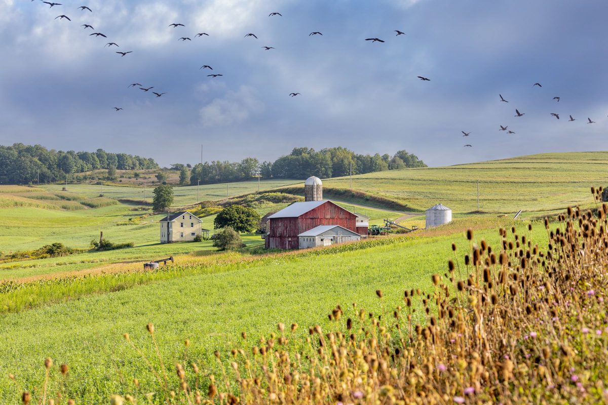 Farmhouse, red barn and silos on rolling green farmland